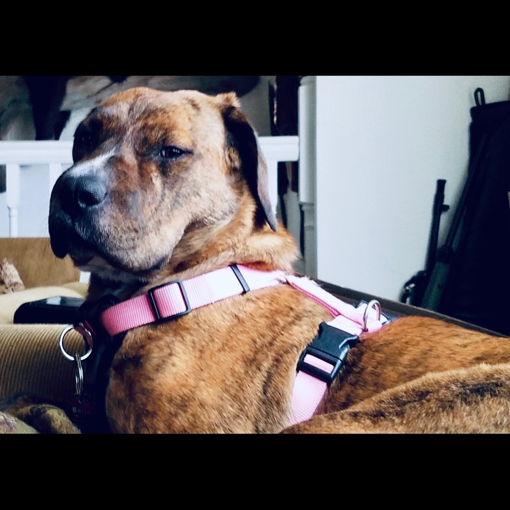 Hello and welcome to my Gram’s closet